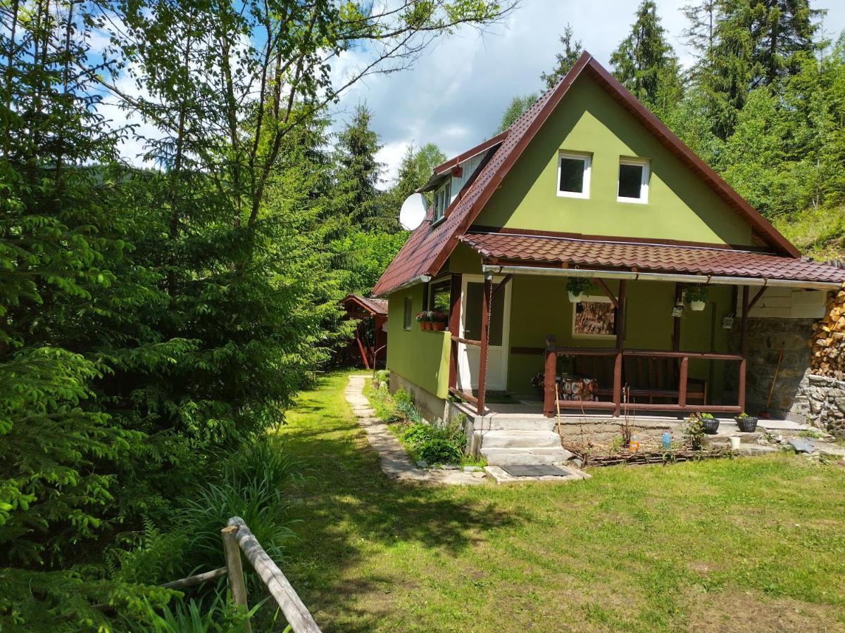 Green House Gheorgheni  Dış mekan fotoğraf